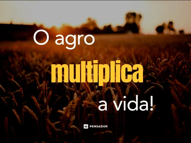 A imagem mostra uma lavoura de trigo ao fundo e a frase 'O Agro multiplica a vida'. Fonte: Google Imagens, 2025. Campo de trigo com frase.